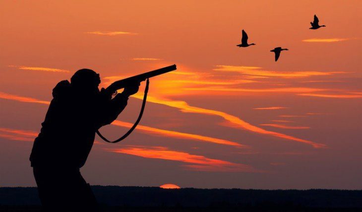 Start sezon de vânătoare! Află ce reguli trebuie să respecte vânătorii și recomandările poliției
