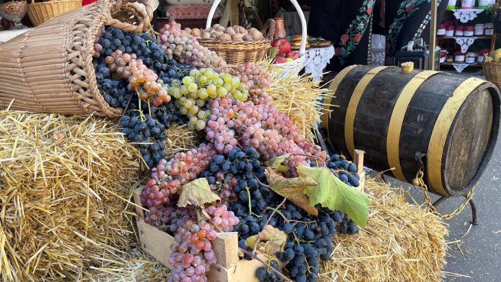 Cei mai buni producători ai vinului de casă din raionul Cahul au fost premiați