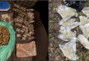 Droguri în valoare de 1 200 000 lei, ridicate de polițiști. Trei bărbați originari din Chișinău și Cahul reținuți
