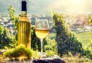Republica Moldova — cea mai premiată țară din Europa de Est pentru calitatea vinului