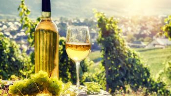 Republica Moldova — cea mai premiată țară din Europa de Est pentru calitatea vinului