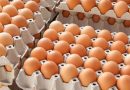 Producătorul de ouă de găină din Taraclia retrage produsele din comerț. Află motivul