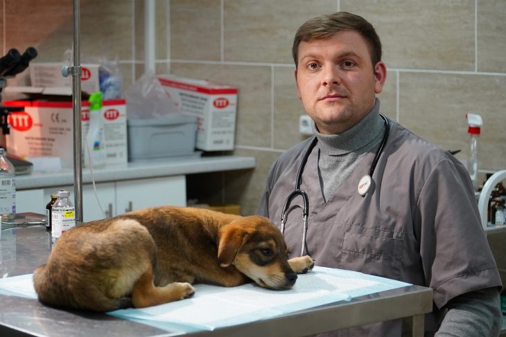 Sergiu Maximenco: Eu nu tratez animale, eu tratez membrii familiei