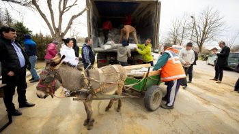 Peste 300 de familii din raionul Cahul vor beneficia de furaje pentru vite