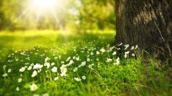 Echinocțiu de primăvară: semnificație, tradiții și obiceiuri