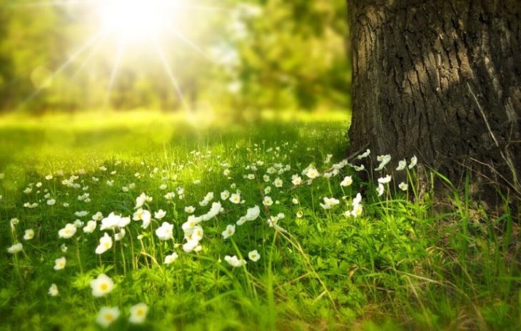 Echinocțiu de primăvară: semnificație, tradiții și obiceiuri