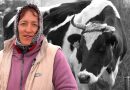 VIDEO// A schimbat vaca pe lemne pentru a încălzi iarna cei 5 copii. Istoria Alionei Capraru din Zîrnești