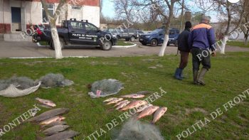La pescuit cu plasele: Doi bărbați au fost reținuți în timp ce pescuiau în lacul Manta