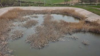 Milioane de lei, înnămolite în „Lacul Sărat” din Cahul /VIDEO