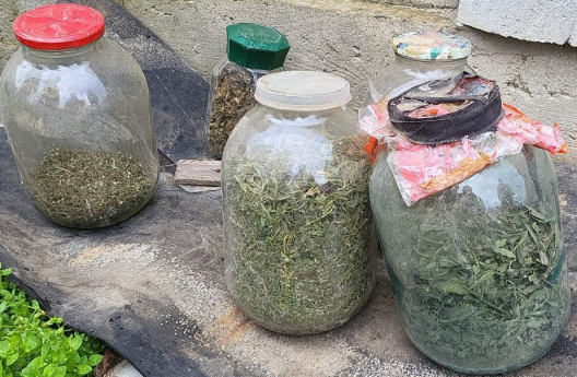 ”Deficit” de droguri în raionul Cahul. Polițiștii au ridicat 2 kg de marijuana