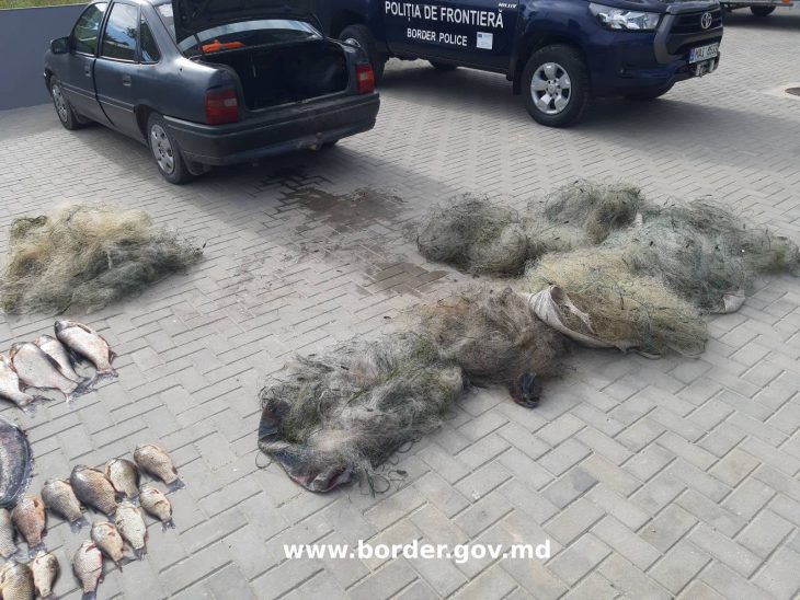 Riscă să plătească 160 mii lei pentru circa 40 kg de pește, prins ilegal în apele lacului Beleu
