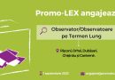 Cantemir: Asociația Promo-LEX angajează Observator/Observatoare pe Termen Lung în cadrul Misiunii de Observare a Alegerilor Locale Generale din 2023