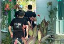 VIDEO// Afacere cu droguri la Cahul, deconspirată de polițiști