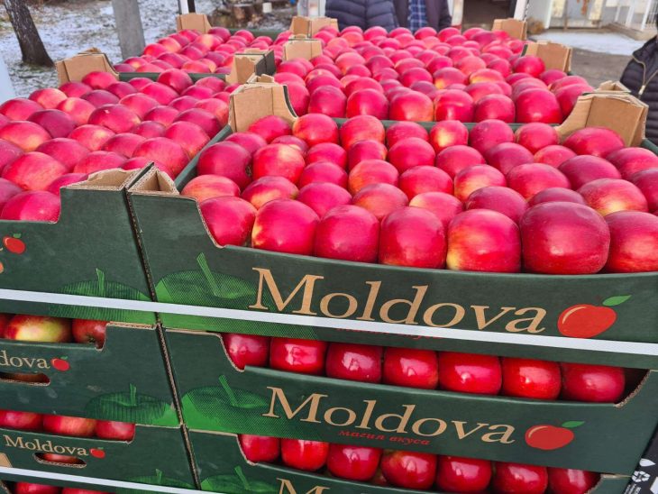 Produsele agricole moldovenești vor putea fi exportate fără taxe în Marea Britanie