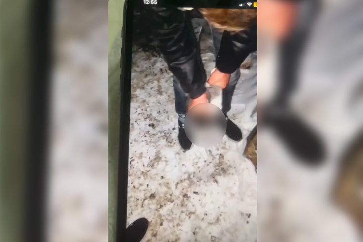 Riscă pușcărie. Trei tineri din Cantemir se filmau cum torturează 2 pisici