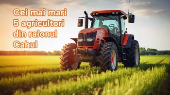 Cine sunt cei mai mari 5 agricultori din raionul Cahul, după suprafața terenurilor deținute