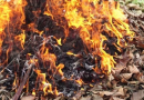 Un bărbat din raionul Cahul, amendat cu 10.000 de lei după ce a dat foc la deșeurile municipale