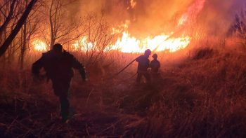 FOTO // Incendiu de vegetație la Colibași. Ion Dolganiuc: a fost provocat de o mână criminală