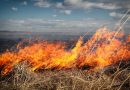 IGSU avertizează despre riscul izbucnirii incendiilor de vegetație în condiții de vânt puternic