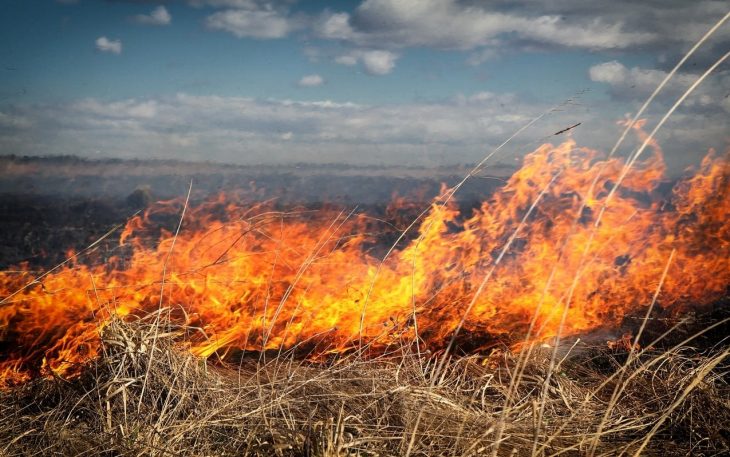 IGSU avertizează despre riscul izbucnirii incendiilor de vegetație în condiții de vânt puternic