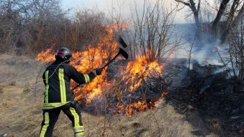 Peste 40 de incendii de vegetație în 42 de localități din raionul Cahul