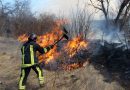 58 de persoane sancționate pentru incendierea intenționată a vegetației uscate. Ce amenzi au fost aplicate