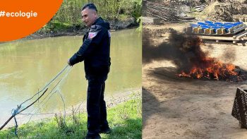 Inspectorii curăță Prutul de plase abandonate și sancționează arderea deșeurilor la Cahul