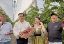 Igor Rusu și Maria Tincu la cireșe în Burlacu, Cahul // VIDEO
