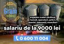 Grain Terminal caută angajați în Cahul! Salarii de la 9000 lei