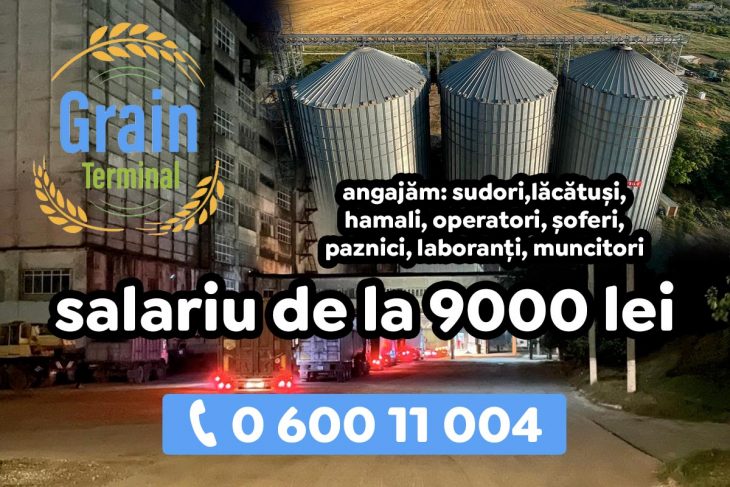 Grain Terminal caută angajați în Cahul! Salarii de la 9000 lei