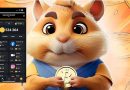 Hamster Kombat: Jocul care a luat internetul prin surprindere