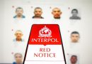 Veronica Dragalin explică cum erau blocate Notificările Roșii în sistemul Interpol