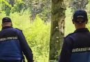 Doi turiști au fost atacați de un urs în Slănic Moldova