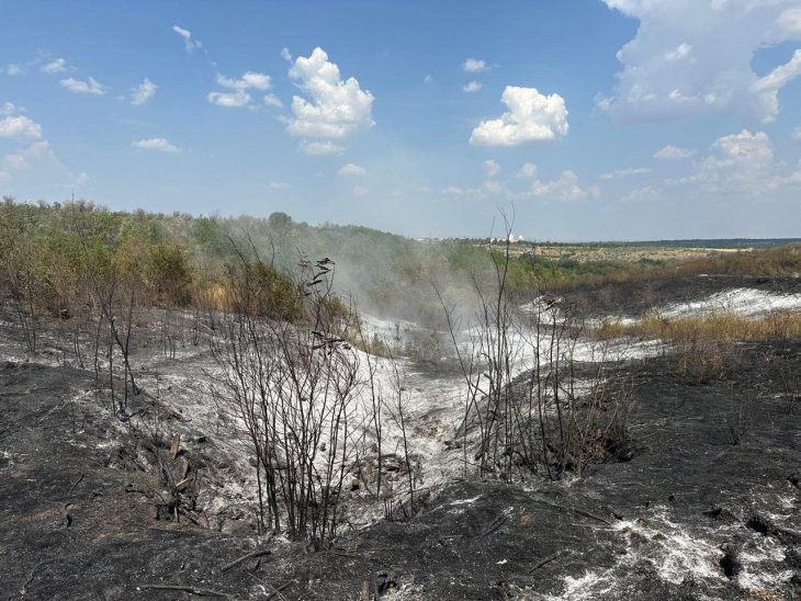 Пожар в Кагуле: 20 гектаров повреждено, 7 гектаров леса полностью потеряно // ФОТО