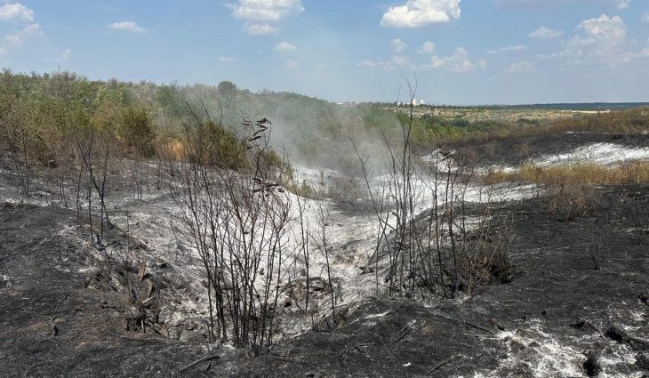 Incendiul de la Cahul: 20 de hectare afectate, 7 hectare de pădure pierdute complet // FOTO