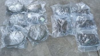 Четыре килограмма марихуаны изъято в ходе рейдов в АТО Гагаузий