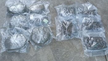 Patru kilograme de marijuana ridicate în cadrul unor percheziții în UTA Gagauzia