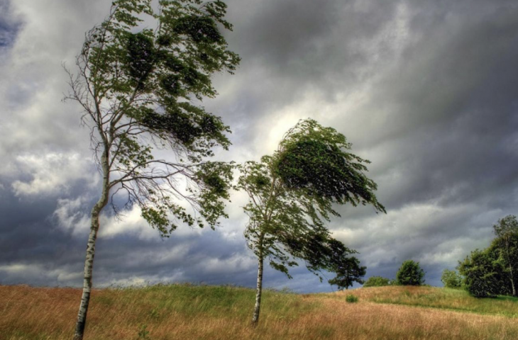 Avertisment Meteorologic: Cod Galben de intensificări ale vântului pentru 30 iulie 2024