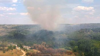 Șase din zece hectare distruse. Video cu drona de la incendiu