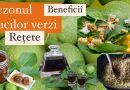 Nucile verzi: Un deliciu de sezon cu beneficii uimitoare și rețete tradiționale moldovenești