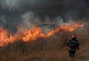 IGSU: ,,Cele mai mari pagube în urma izbucnirii incendiilor de vegetație uscată din utimele 24 de ore au avut loc în raionul Cahul și Florești”