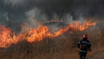 IGSU: ,,Cele mai mari pagube în urma izbucnirii incendiilor de vegetație uscată din utimele 24 de ore au avut loc în raionul Cahul și Florești”