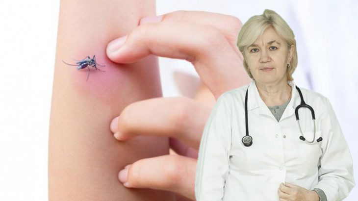 Atenție la înțepăturile de insecte. Sfatul medicului alergolog, Tatiana Gorelco