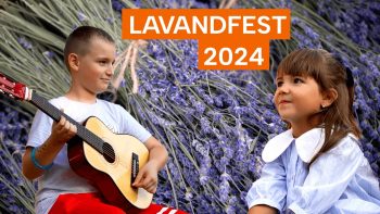 Lavanda Fest 2024: Vezi cum s-a desfășurat evenimentul din Cahul în acest an