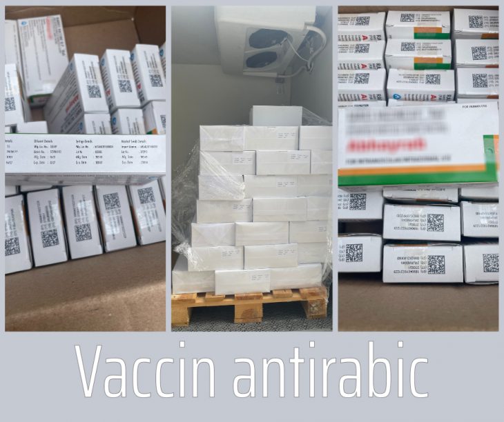 CNAM va aloca peste 650 de mii de lei pentru achiziționarea celui de-al doilea lot de vaccin antirabic