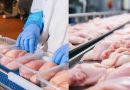 Primele loturi de carne de pasăre din Republica Moldova, exportate în Uniunea Europeană