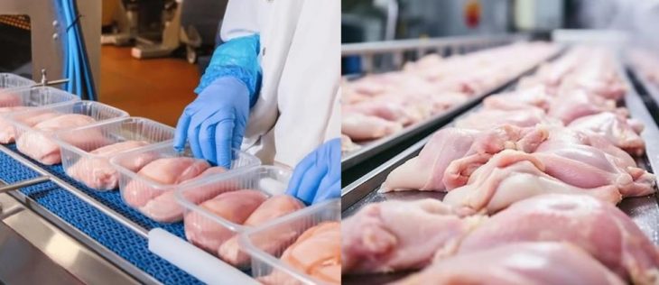 Primele loturi de carne de pasăre din Republica Moldova, exportate în Uniunea Europeană