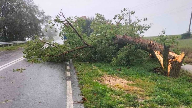 Drumul public național Vulcănești a fost afectat în urma ploilor abundente