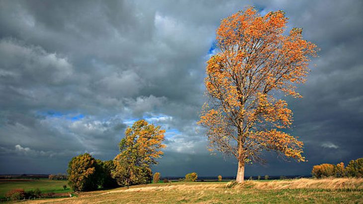 Vânt puternic în toată țara: Meteorologii au emis Cod Galben astăzi