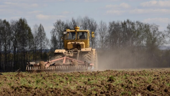 Silvicultorii „Moldsilva” pregătesc 8 milioane de puieți pentru viitoarele plantări forestiere